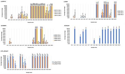 Meta-transcriptomic analysis reveals the geographical expansion of known sugarbeet-infecting viruses and the occurrence of a novel virus in sugarbeet in the United States
